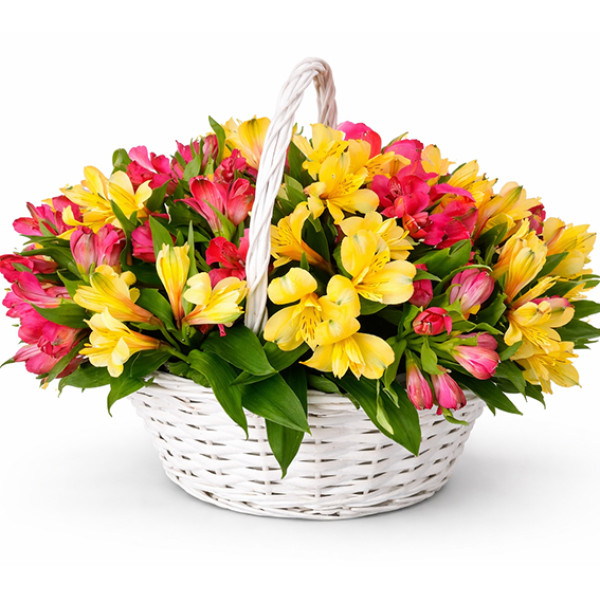 Alstroemeria in the basket