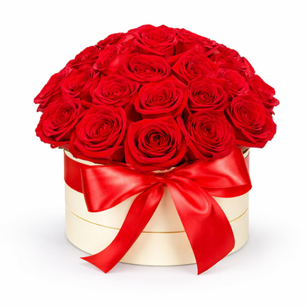 Roses in a box