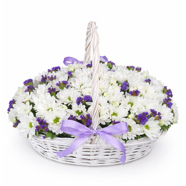 Daisies in a basket