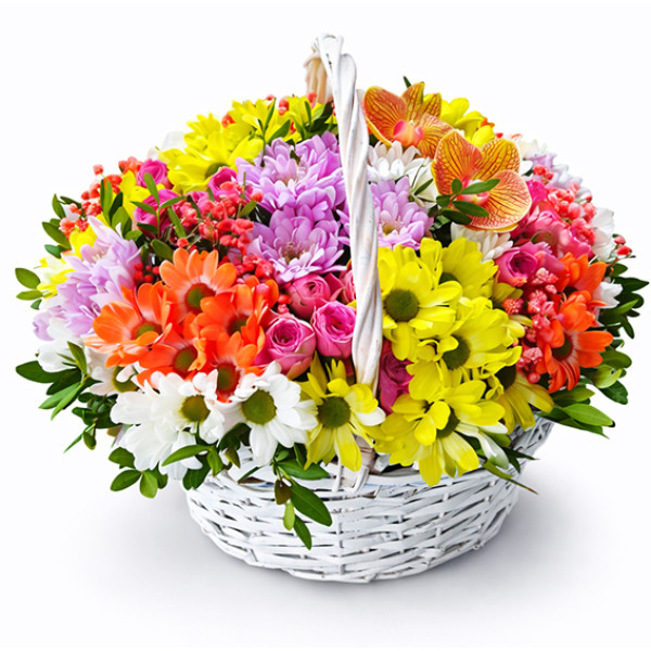 Best day basket