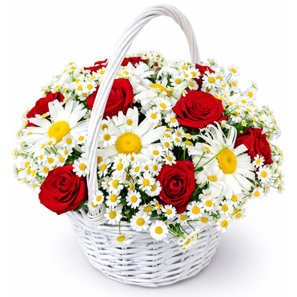 Basket red and white