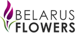 Flowers delivery - belarusflowers.by